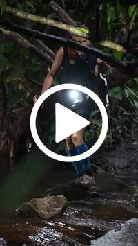 BIB:  <button type="button" onclick="openModal(27554662)" class="btn btn-primary btn-sm float-right" data-toggle="modal" data-target=".modal-high-quality">
                <i class="fa fa-download"></i> Download
                </button>